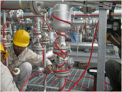 Cáp gia nhiệt Thermon