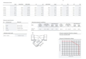 Y LỌC STRAINER V913