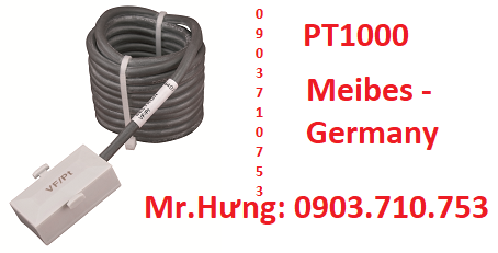 1. M10143.102 - Cảm biến nhiệt độ bề mặt Pt1000