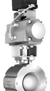 sector ball valve