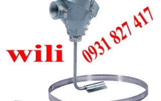 CẢM BIẾN NHIỆT ĐỘ RTD 100, PT 100