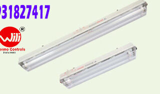 đèn huỳnh quang chống cháy nổ, BAY51-Q Series Explosion-proof Light Fittings for Fluorescent Lamp