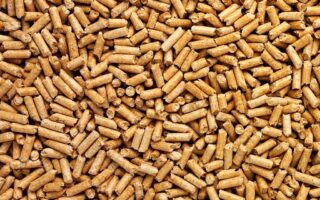 Wood pellets Suppliers