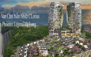 Phoenix Legend Ha Long Bay 2 - 750m2.